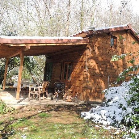 Cabane Dans Les Bois Avec Vue Sur Les Pyrenees Saint-Laurent-de-Neste Exterior foto