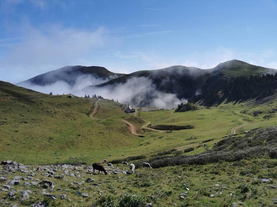 Cabane Dans Les Bois Avec Vue Sur Les Pyrenees Saint-Laurent-de-Neste Exterior foto