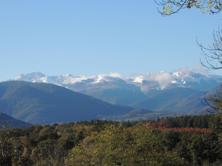 Cabane Dans Les Bois Avec Vue Sur Les Pyrenees Saint-Laurent-de-Neste Exterior foto